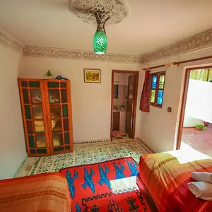 Basma Riad Fez
